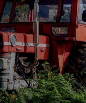 Red EBRO tractor partially obscured by tall grass and ferns in a field. - Olive Oil Times