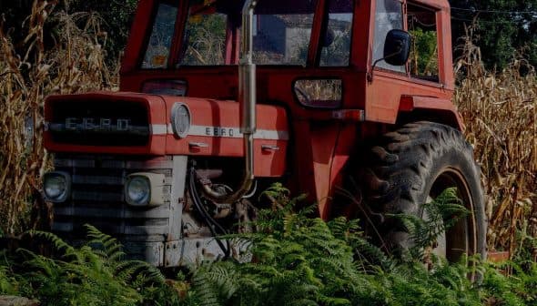 Red EBRO tractor partially obscured by tall grass and ferns in a field. - Olive Oil Times