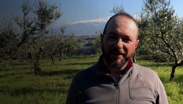 Man standing in an olive grove with olive trees in the background and mountains visible in the distance. - Olive Oil Times