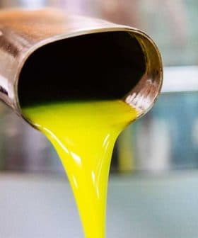 Stream of bright yellow olive oil pouring from a metal spout into a container. - Olive Oil Times