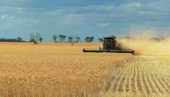A combine harvester working in a wheat field, with dust being kicked up during the harvest process. - Olive Oil Times