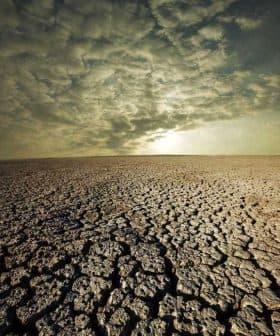 A barren landscape featuring cracked dry earth under a cloudy sky. - Olive Oil Times