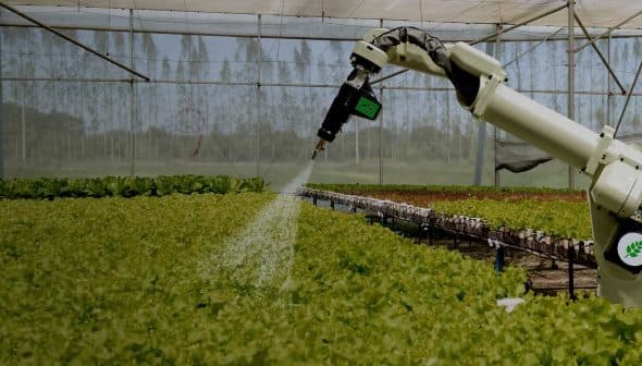 Robotic arm spraying water on lettuce plants in a greenhouse environment. - Olive Oil Times