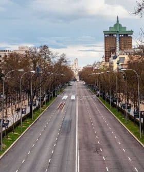 Wide view of an empty city street lined with bare trees and streetlights on either side. - Olive Oil Times