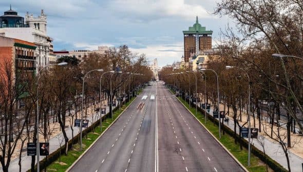 Wide view of an empty city street lined with bare trees and streetlights on either side. - Olive Oil Times