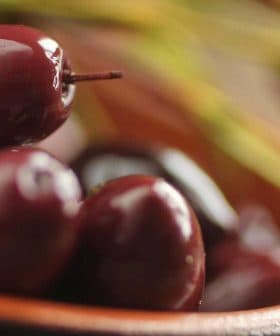 A close-up view of Kalamata olives in a bowl, showcasing their dark purple color and glossy surface. - Olive Oil Times