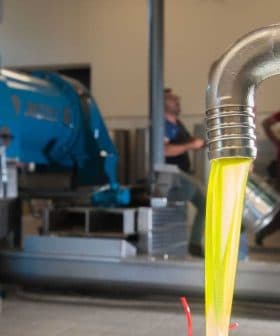 Olive oil flowing from a metal pipe during the extraction process in a facility. - Olive Oil Times