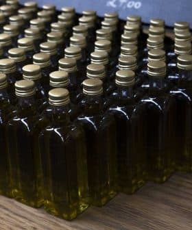 Row of small glass bottles filled with olive oil, each with a gold cap, arranged neatly on a wooden surface. - Olive Oil Times