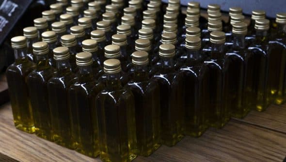 Row of small glass bottles filled with olive oil, each with a gold cap, arranged neatly on a wooden surface. - Olive Oil Times