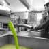 Two men observing the olive oil extraction process in a production facility with green liquid flowing. - Olive Oil Times