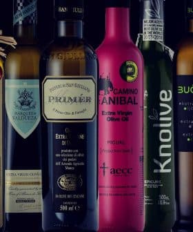 A collection of olive oil bottles with different labels and designs arranged in a row. - Olive Oil Times