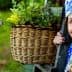 Elderly woman wearing traditional clothing and a headscarf, holding a basket of flowers. - Olive Oil Times