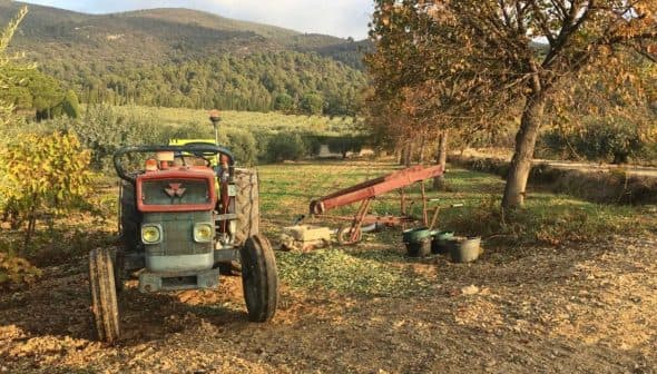 Blue agricultural tractor parked on a dirt path in a field with trees in the background. - Olive Oil Times