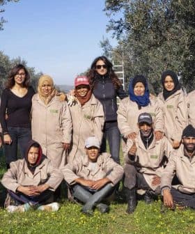 A group of olive harvest workers posing together outdoors in olive trees. - Olive Oil Times