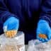 Individual wearing blue gloves holding two bags with different powdered substances in each hand. - Olive Oil Times
