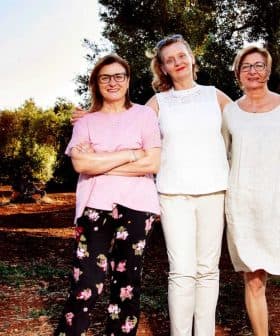 Three women standing together in an olive grove, wearing casual clothing and smiling at the camera. - Olive Oil Times