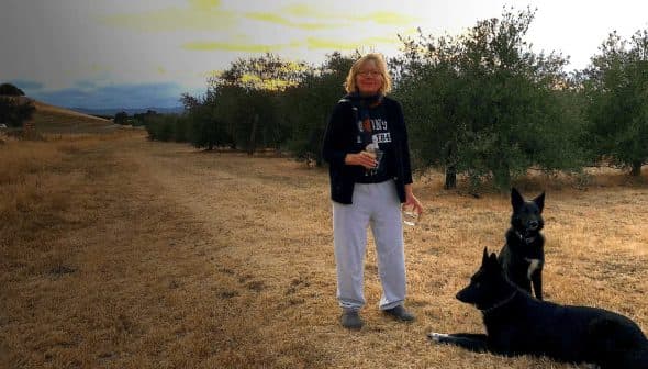 A woman holding a glass and standing next to two dogs in an olive grove. - Olive Oil Times
