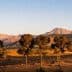 Row of trees in front of a mountain range under a clear sky during sunset. - Olive Oil Times