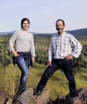 A man and a woman standing on rocks in an olive grove with rolling hills in the background. - Olive Oil Times