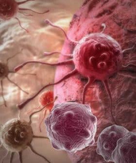 Microscopic image showing cancer cells interacting with healthy cells in a biological setting. - Olive Oil Times