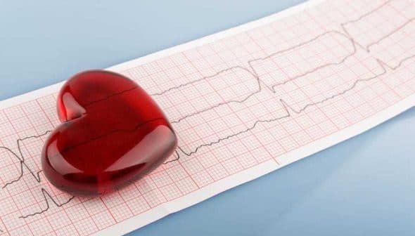 A red heart-shaped object placed on an electrocardiogram (ECG) paper showing heart activity. - Olive Oil Times