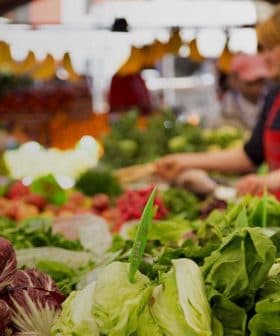 Fresh vegetables including lettuce and radicchio displayed at a market stall with shoppers in the background. - Olive Oil Times
