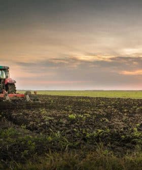 Red tractor plowing a field during sunset with a cloudy sky in the background. - Olive Oil Times