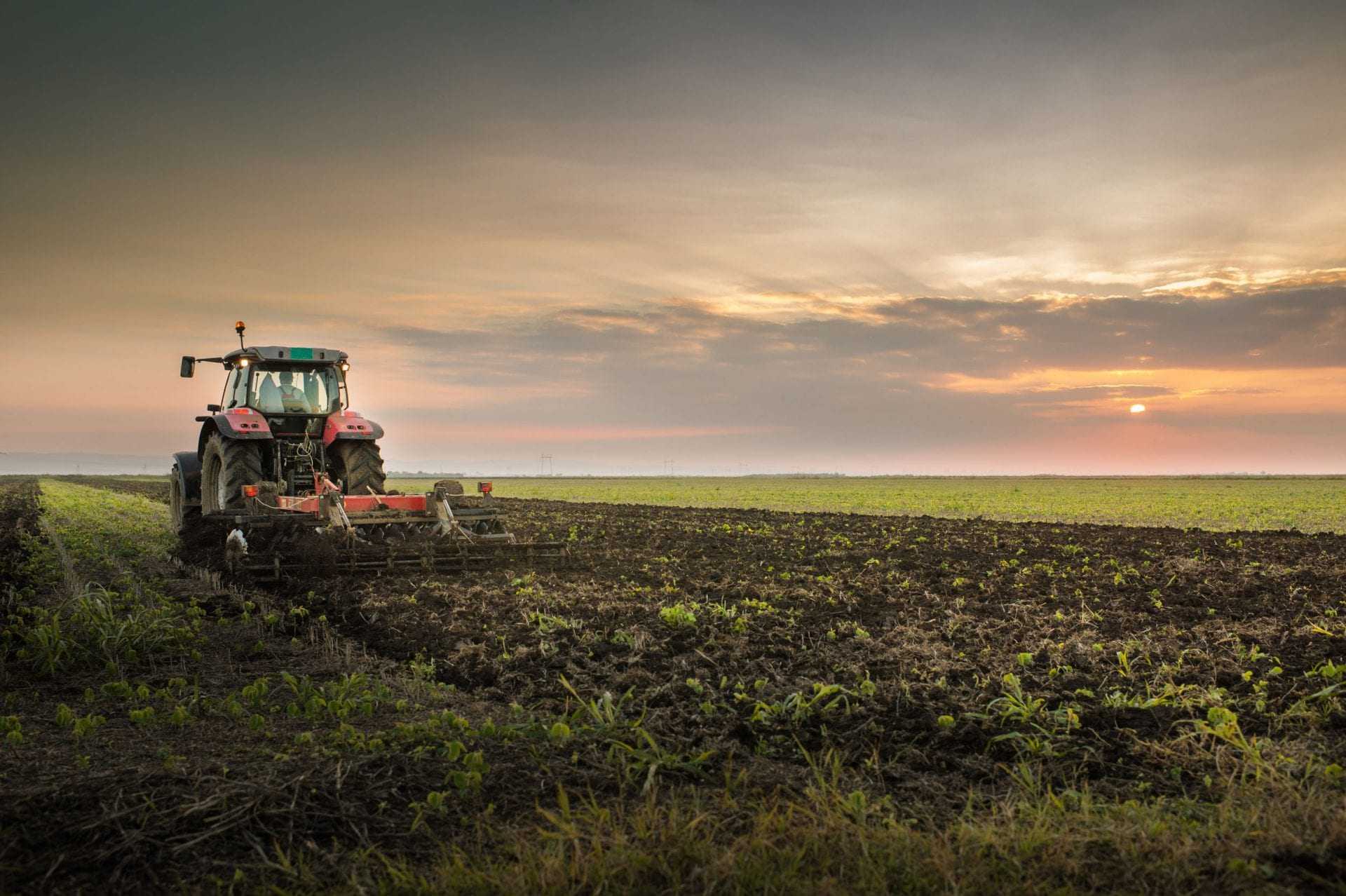 Red tractor plowing a field during sunset with a cloudy sky in the background. - Olive Oil Times