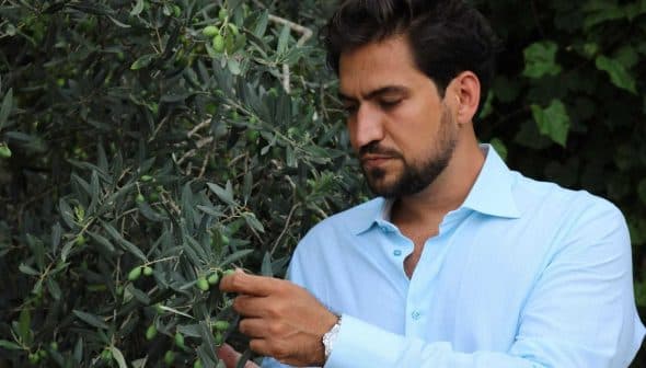 Man examining an olive tree branch with green olives in a natural setting. - Olive Oil Times