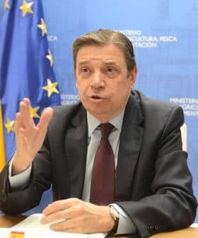 Luis Planas, a government official, speaking at a press conference with flags in the background. - Olive Oil Times