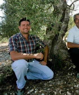 Two men kneeling beside an olive tree in an olive grove, both smiling at the camera. - Olive Oil Times