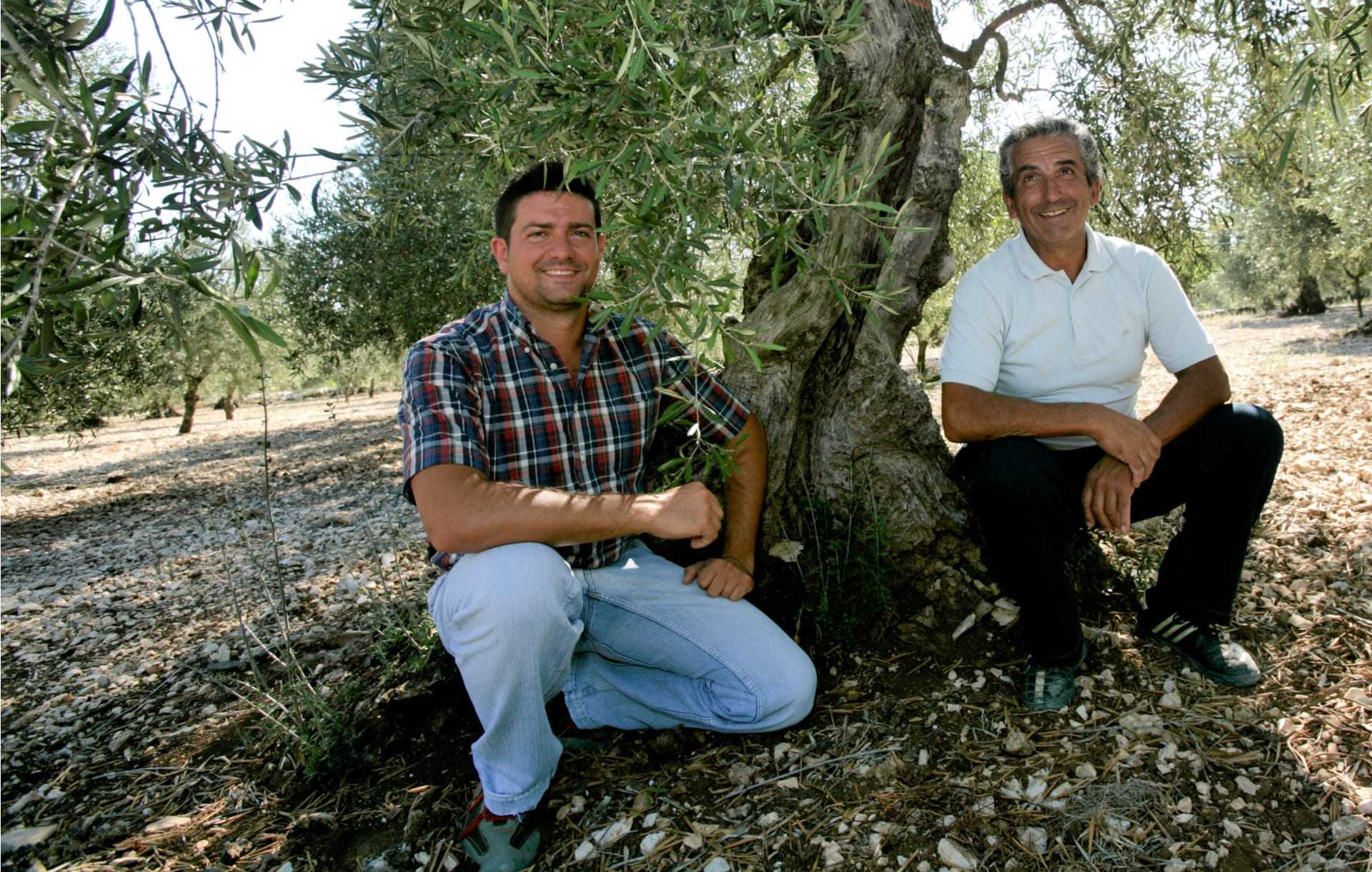 Two men kneeling beside an olive tree in an olive grove, both smiling at the camera. - Olive Oil Times