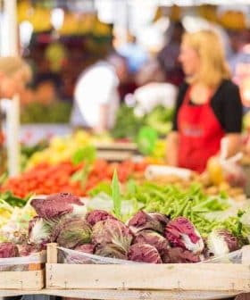 A variety of fresh vegetables displayed at a market stand with shoppers in the background. - Olive Oil Times