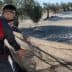 Two individuals in protective gear gathering olives using a large net in an olive grove. - Olive Oil Times