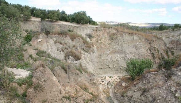 Eroded landscape featuring rocky terrain and sparse vegetation in a dry area. - Olive Oil Times