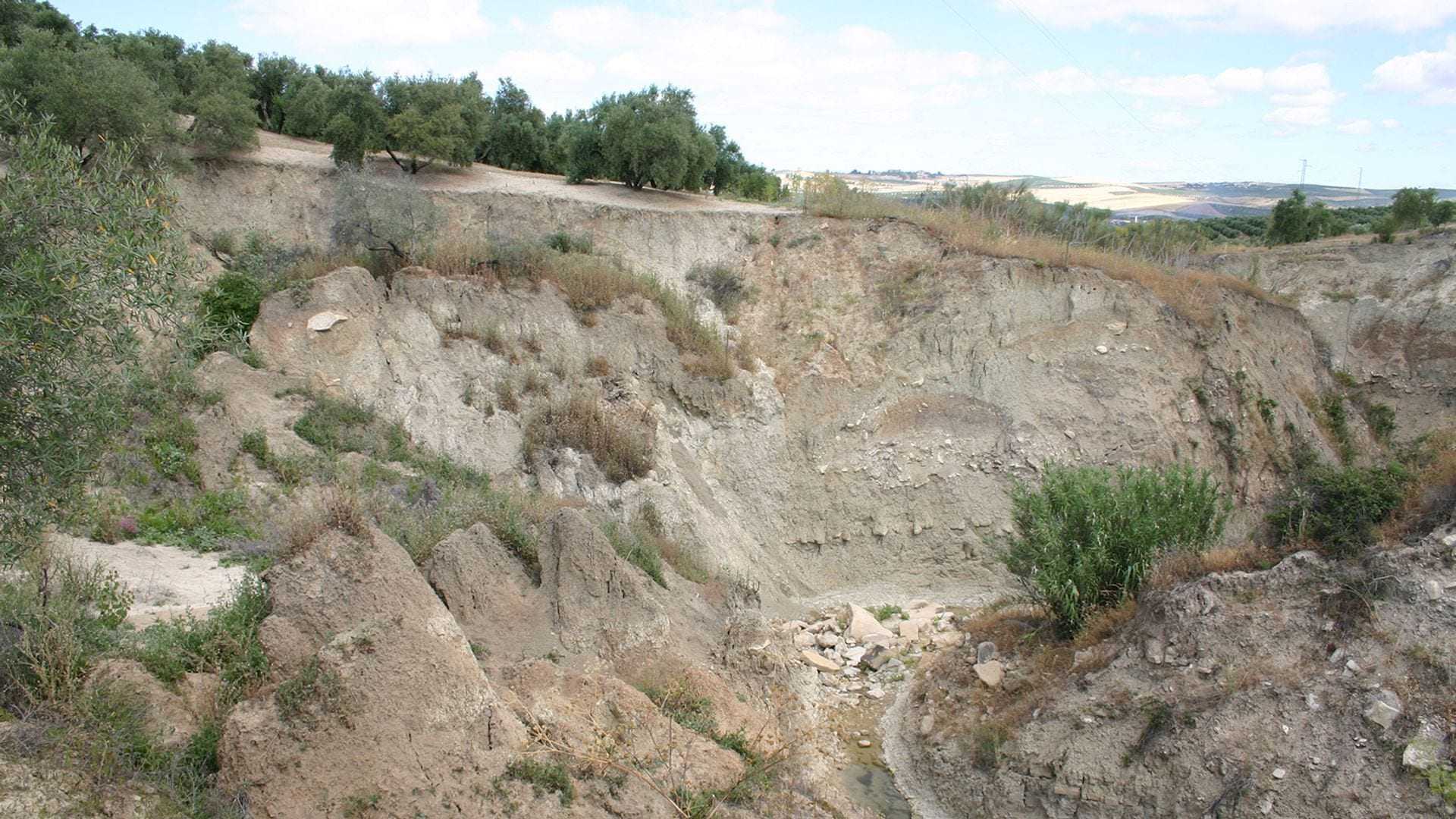Eroded landscape featuring rocky terrain and sparse vegetation in a dry area. - Olive Oil Times