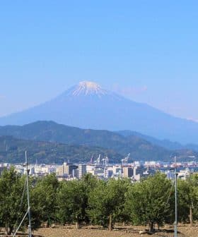 Mount Fuji visible in the background with a cityscape and trees in the foreground. - Olive Oil Times