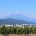 Mount Fuji visible in the background with a cityscape and trees in the foreground. - Olive Oil Times