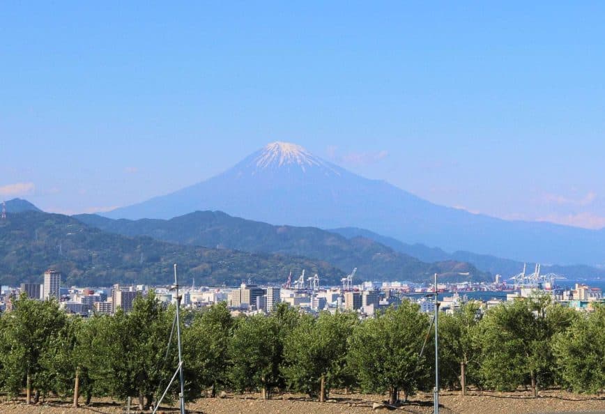 Mount Fuji visible in the background with a cityscape and trees in the foreground. - Olive Oil Times