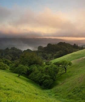 Lush green hills featuring trees under a cloudy sunset sky with mist in the background. - Olive Oil Times