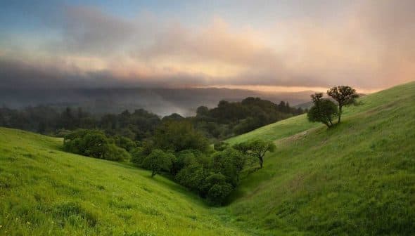 Lush green hills featuring trees under a cloudy sunset sky with mist in the background. - Olive Oil Times
