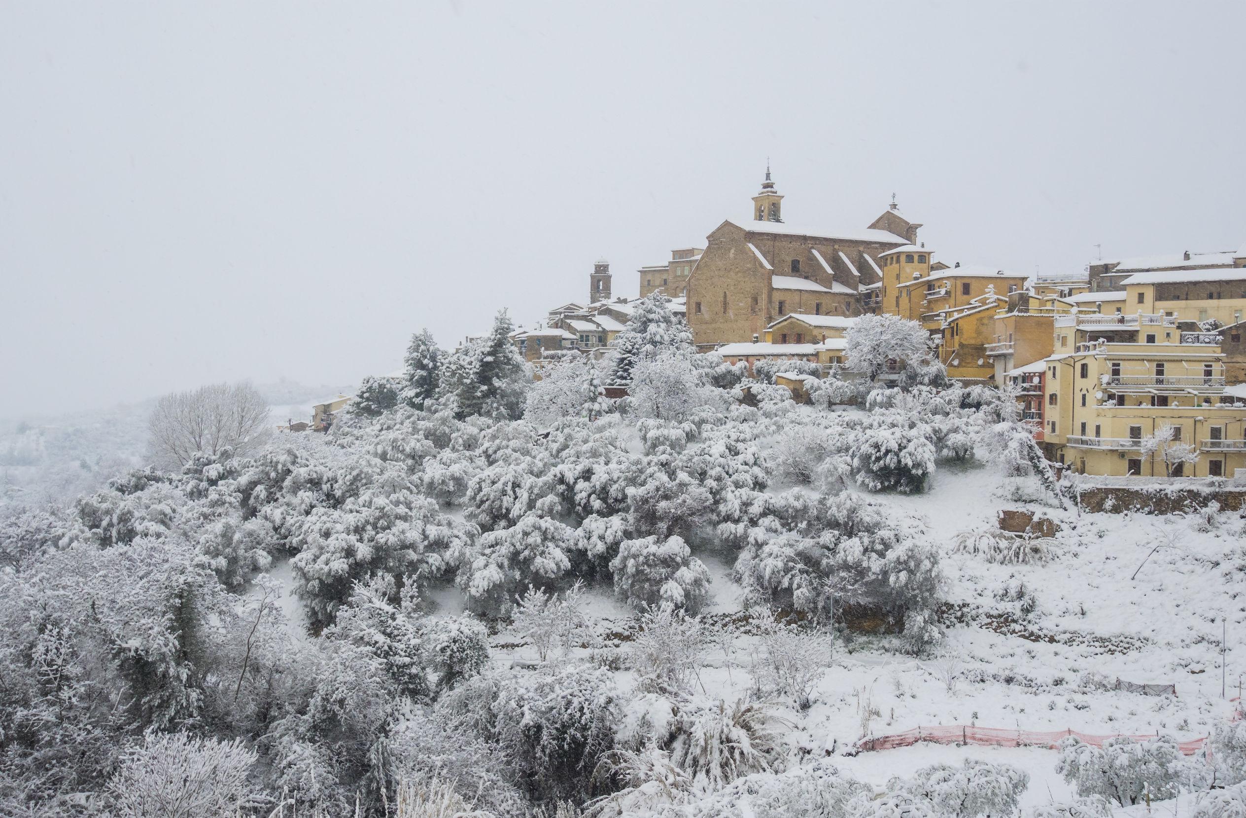 A snow-covered village with buildings and trees blanketed in white snow on a hillside. - Olive Oil Times