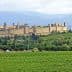 View of the medieval fortress of Carcassonne surrounded by greenery in France. - Olive Oil Times