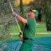 Man in green clothing using a pole pruner to harvest olives from a tree. - Olive Oil Times