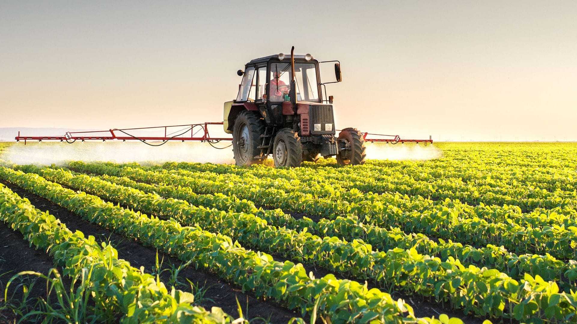 A tractor spraying crops in a field with rows of green plants under a clear sky. - Olive Oil Times
