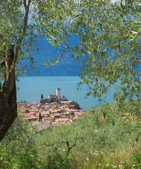 Olive trees framing a view of a village and castle by Lake Garda. - Olive Oil Times