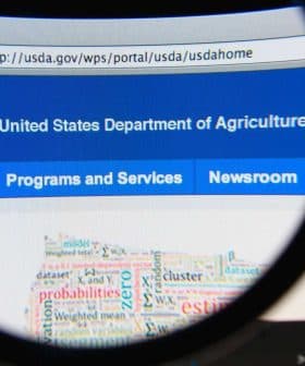 Close-up view of the USDA website homepage displayed on a computer screen. - Olive Oil Times