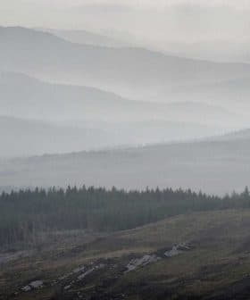 Layered mountain landscape shrouded in fog with evergreen trees in the foreground. - Olive Oil Times