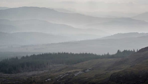 Layered mountain landscape shrouded in fog with evergreen trees in the foreground. - Olive Oil Times