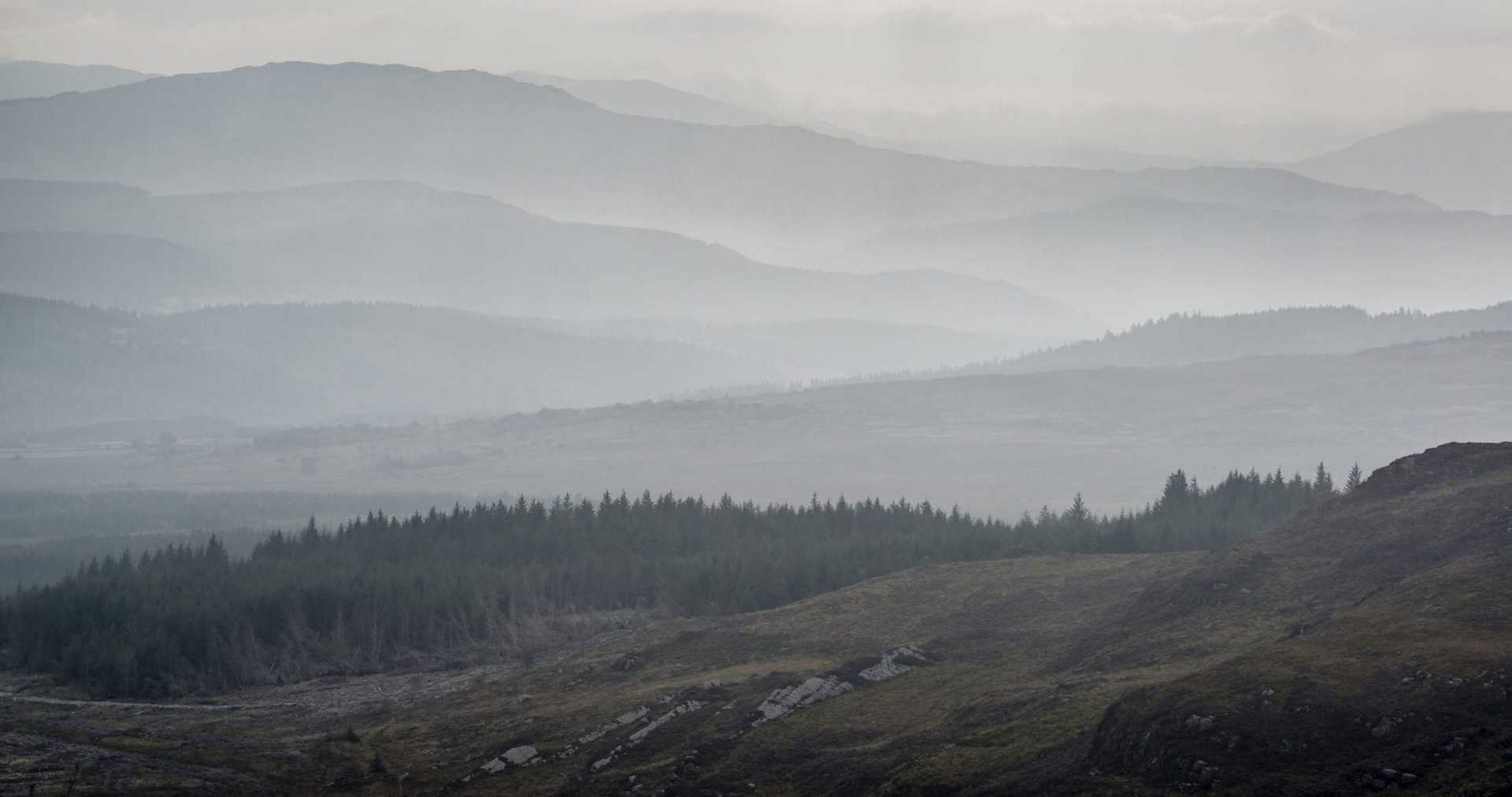 Layered mountain landscape shrouded in fog with evergreen trees in the foreground. - Olive Oil Times
